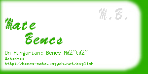 mate bencs business card